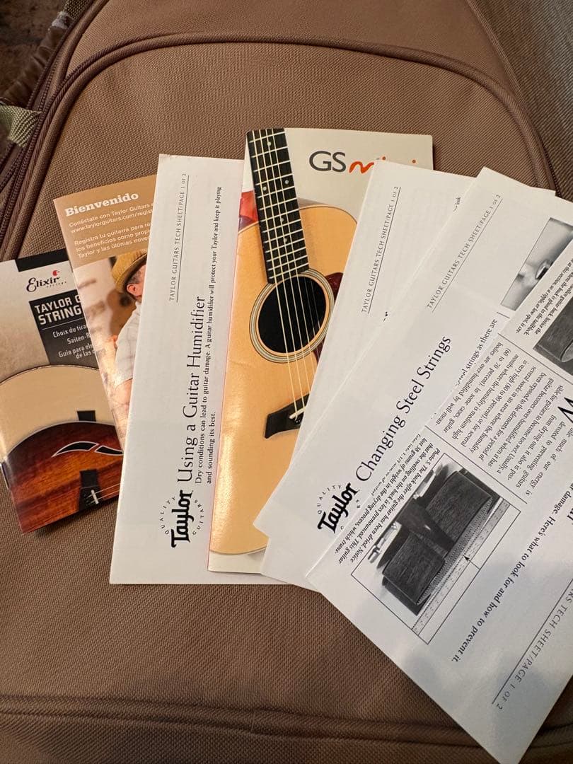 Taylor GS Mini 傷あり ケース付き アコギ 演奏性良好