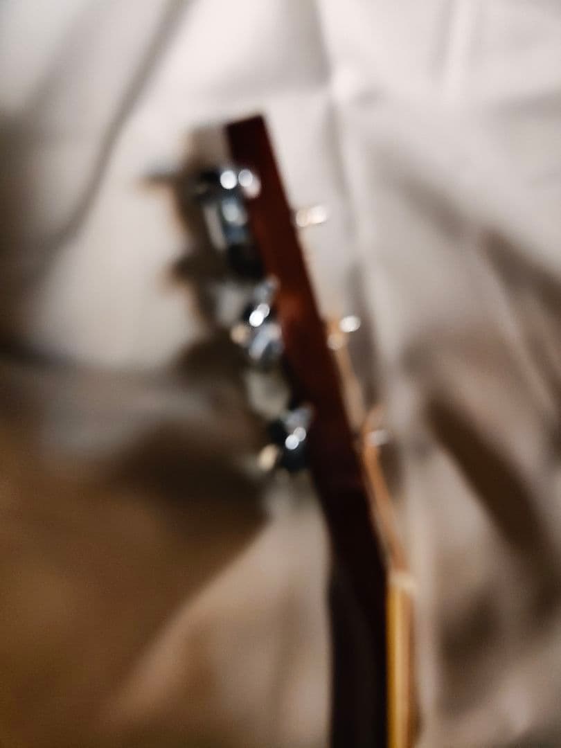 Morris アコースティックギターW25