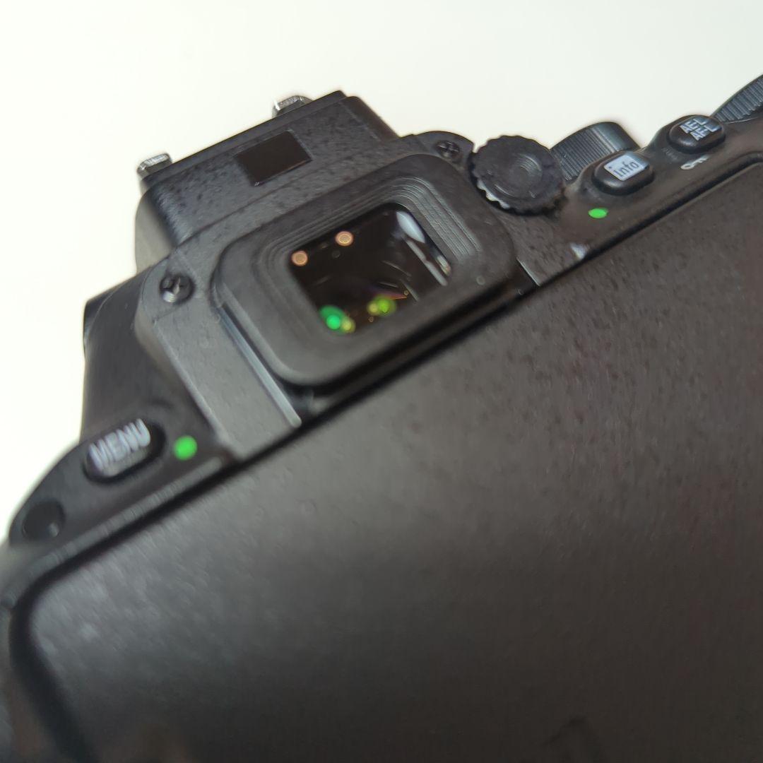 Nikon D5500 デジタル一眼レフカメラ　シャッターカウント8.963枚