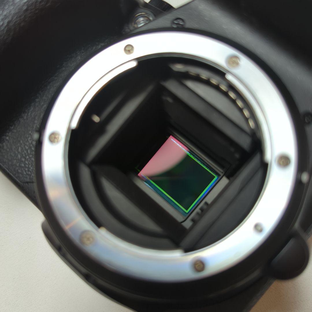 Nikon D5500 デジタル一眼レフカメラ　シャッターカウント8.963枚