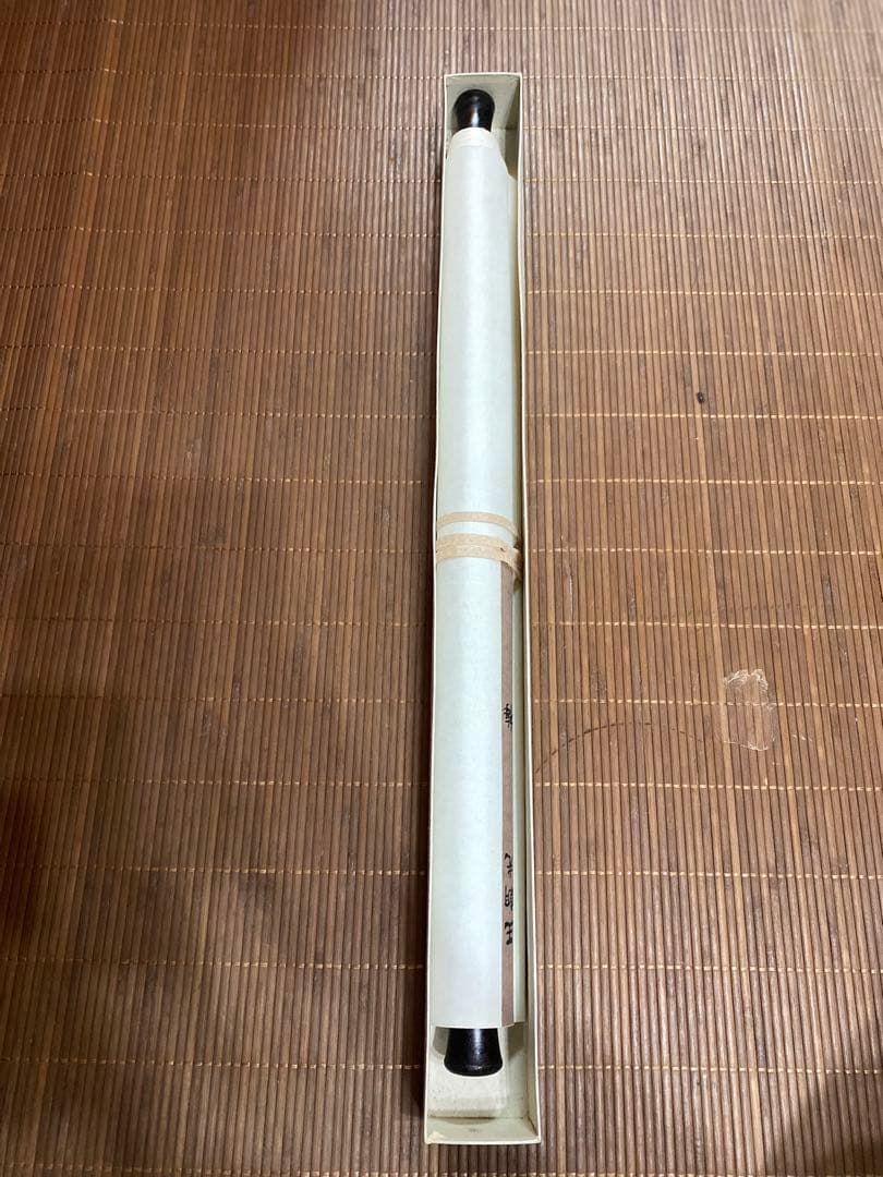 王朝光 梅図 掛軸 肉筆 直筆サイン 落款 共箱付 紅梅 水墨画 床の間