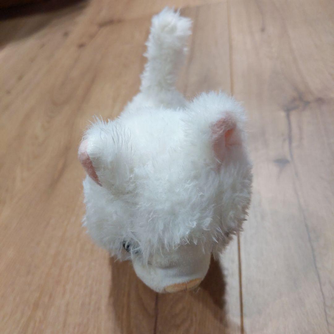 ねこ
