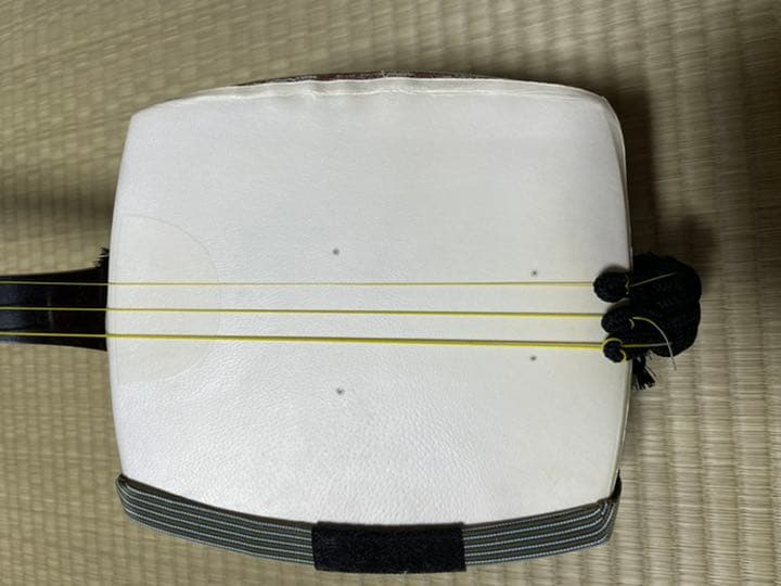 通好み　三味線　ハードケース付き