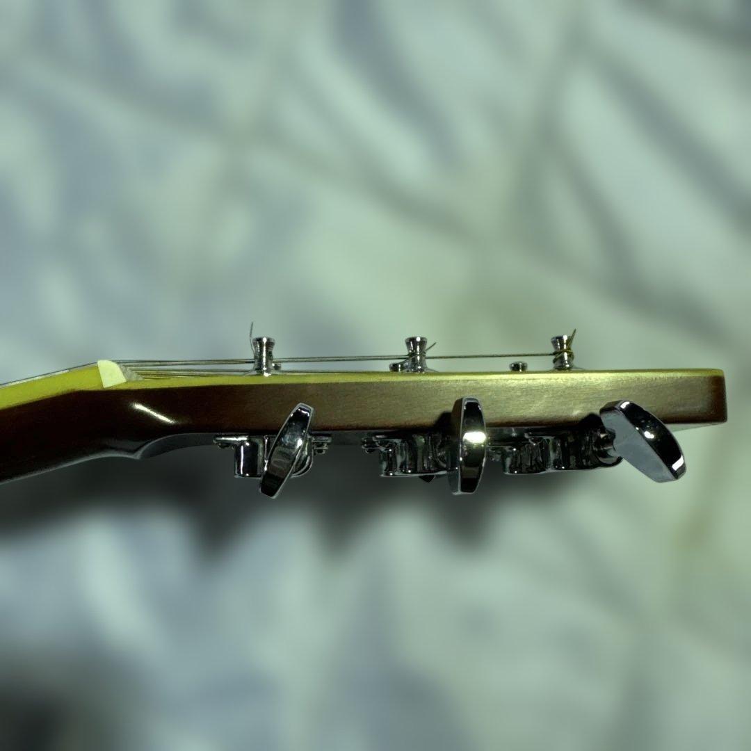 Morris アコースティックギター　w-25 ソフトケース付き