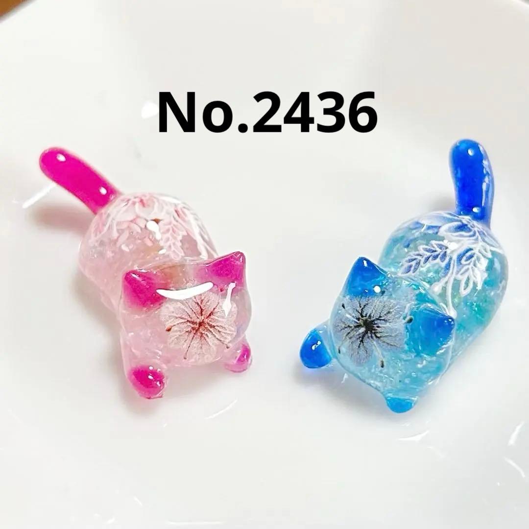 ヒイラギ
