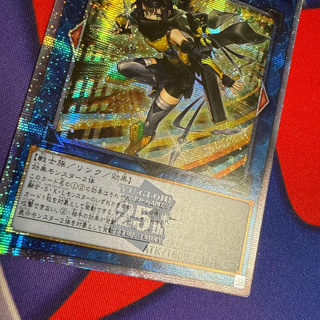 spリトルナイト クオシク