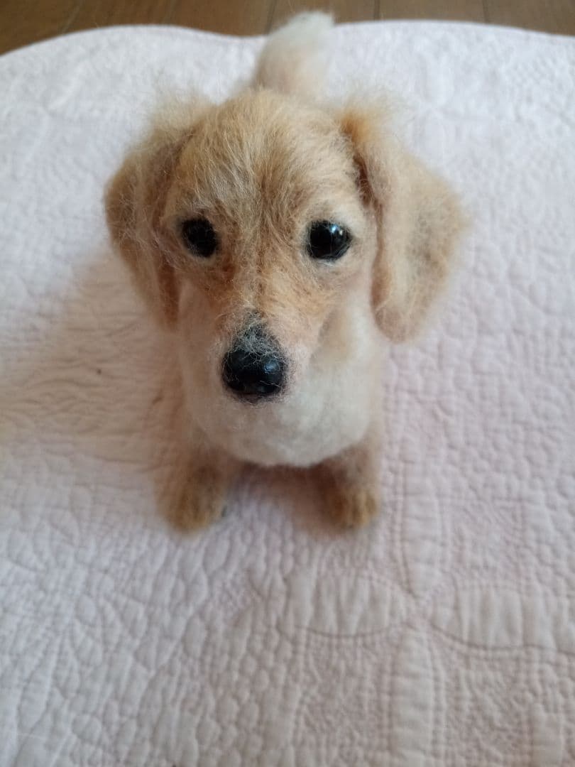 愛犬の羊毛フェルトオーダー・にんじん様ご確認用ページ
