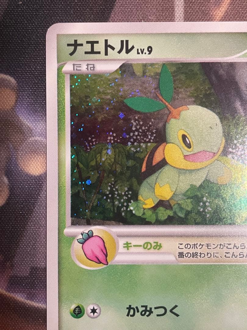 ナエトル ポッチャマ ヒコザル プレイヤーズ プロモ ポケモンカード