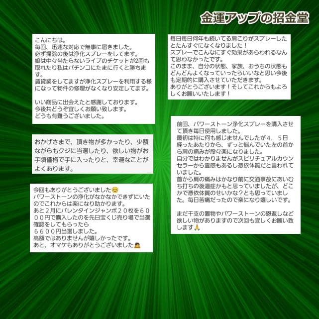 金運アップブレスレット『金運爆上げブレスレット（金運×財運）』3210
