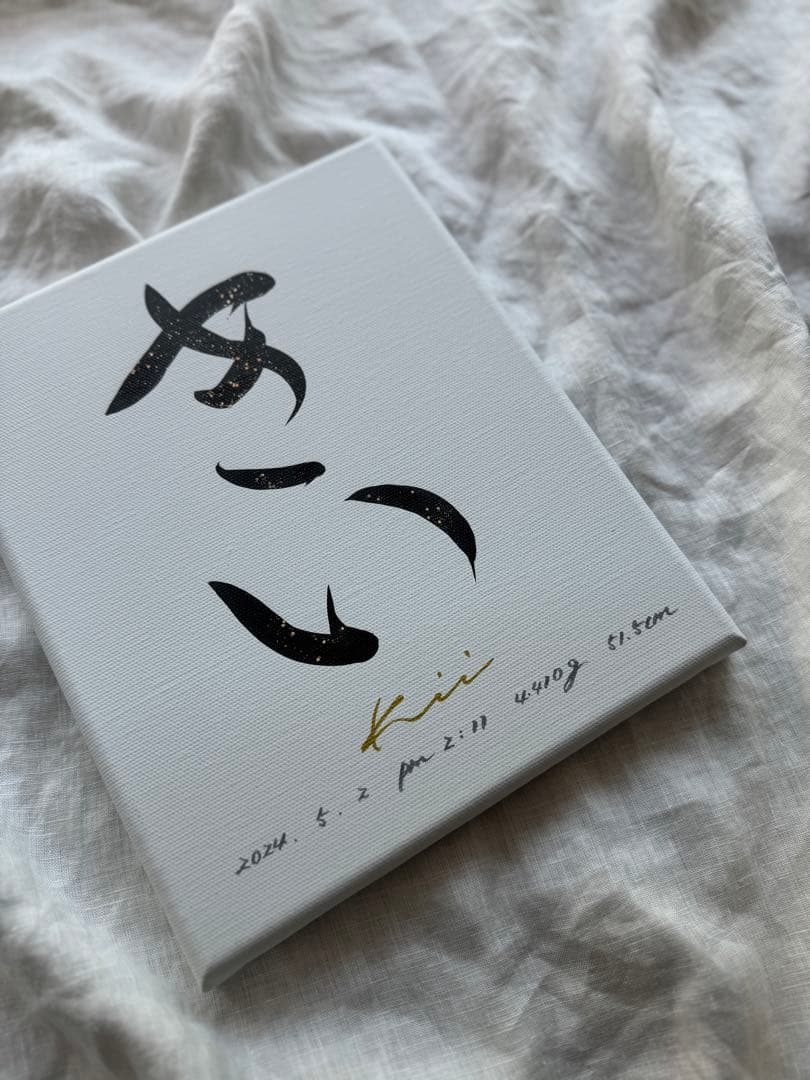 Hikaru　お一人目修正あり「私が欲しい命名書」キャンバス送料無料