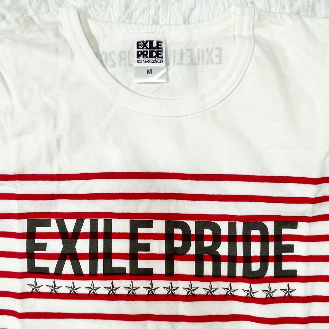 【EXILE】 Tシャツ DVD CDセット ポーチ クリアファイル 推し活
