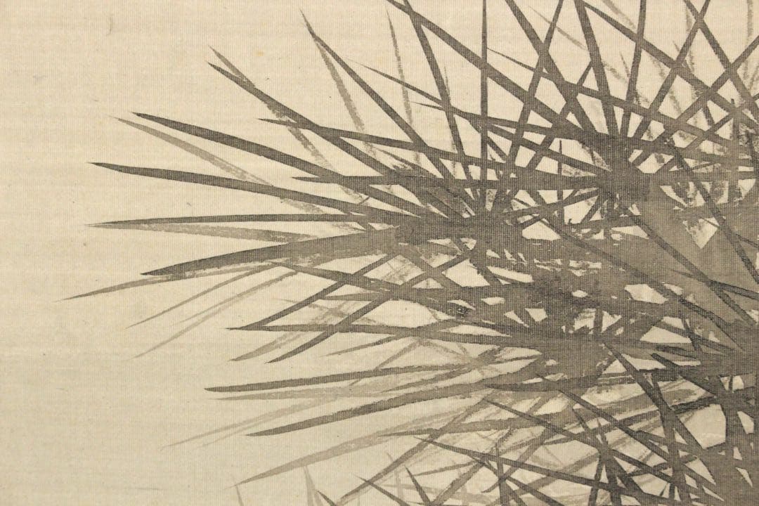 No5366 掛軸　鈴木松年　老松図　絹本　日本画　絵画　古画　古美術　送料無料
