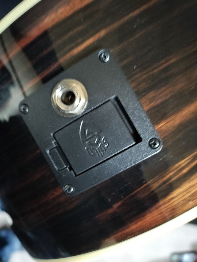 【美品】Guild D-260CE Deluxe 【エレアコ】
