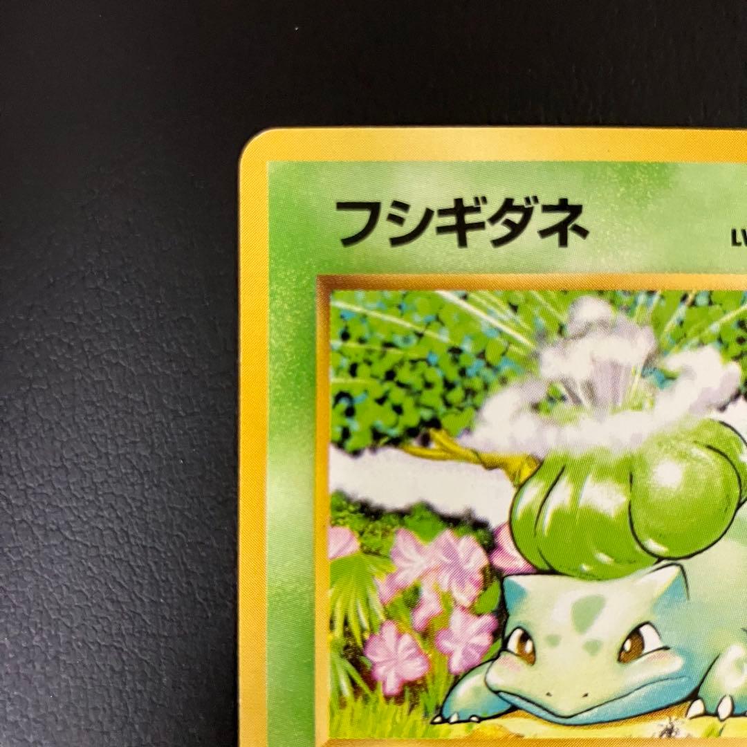 【初版】　フシギダネ　旧裏　ポケモンカード　マークなし