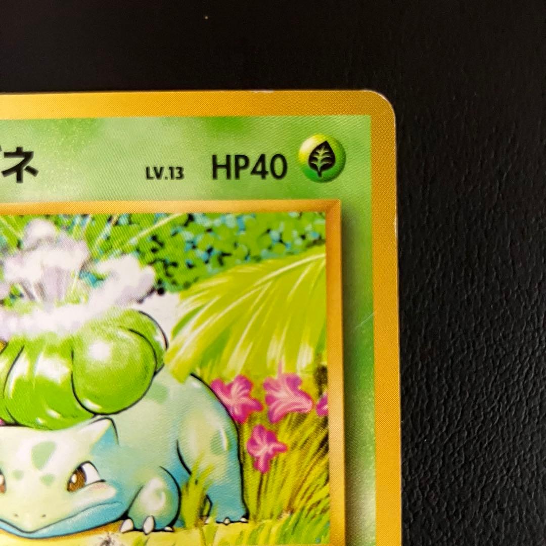 【初版】　フシギダネ　旧裏　ポケモンカード　マークなし