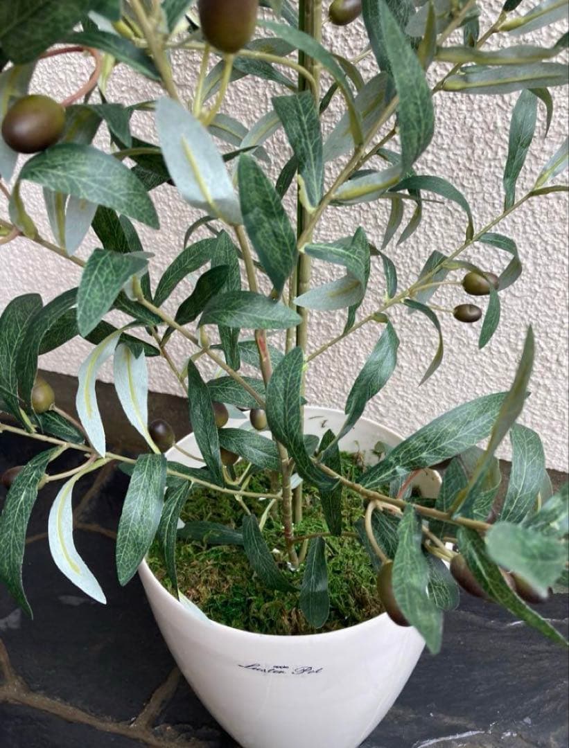 光触媒　人工観葉植物　ウォールグリーン　フェイクグリーン　オリーブ100s