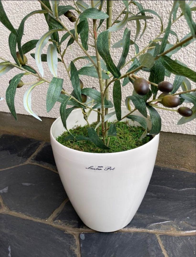 光触媒　人工観葉植物　ウォールグリーン　フェイクグリーン　オリーブ100s