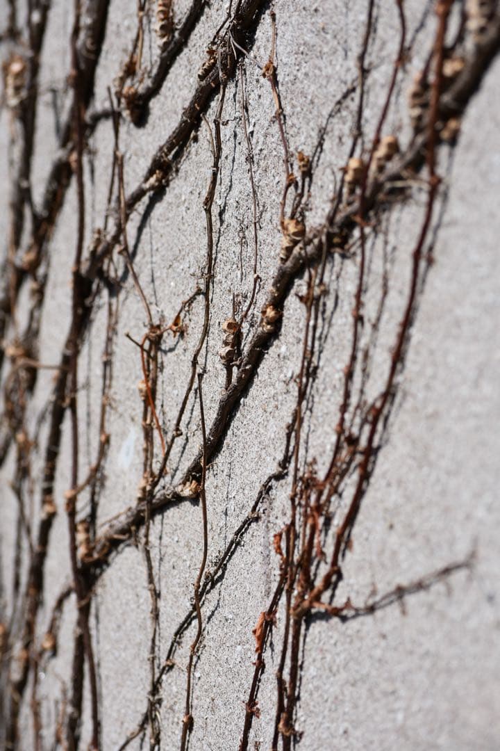 『動作確認済み』 Nikon D3400 ダブルズームキット