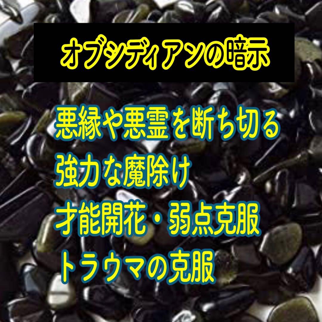 辰年／置物【特大サイズ】白蛇抜け殻入りプレミアム オルゴナイト＊昇り龍＊おまけ付