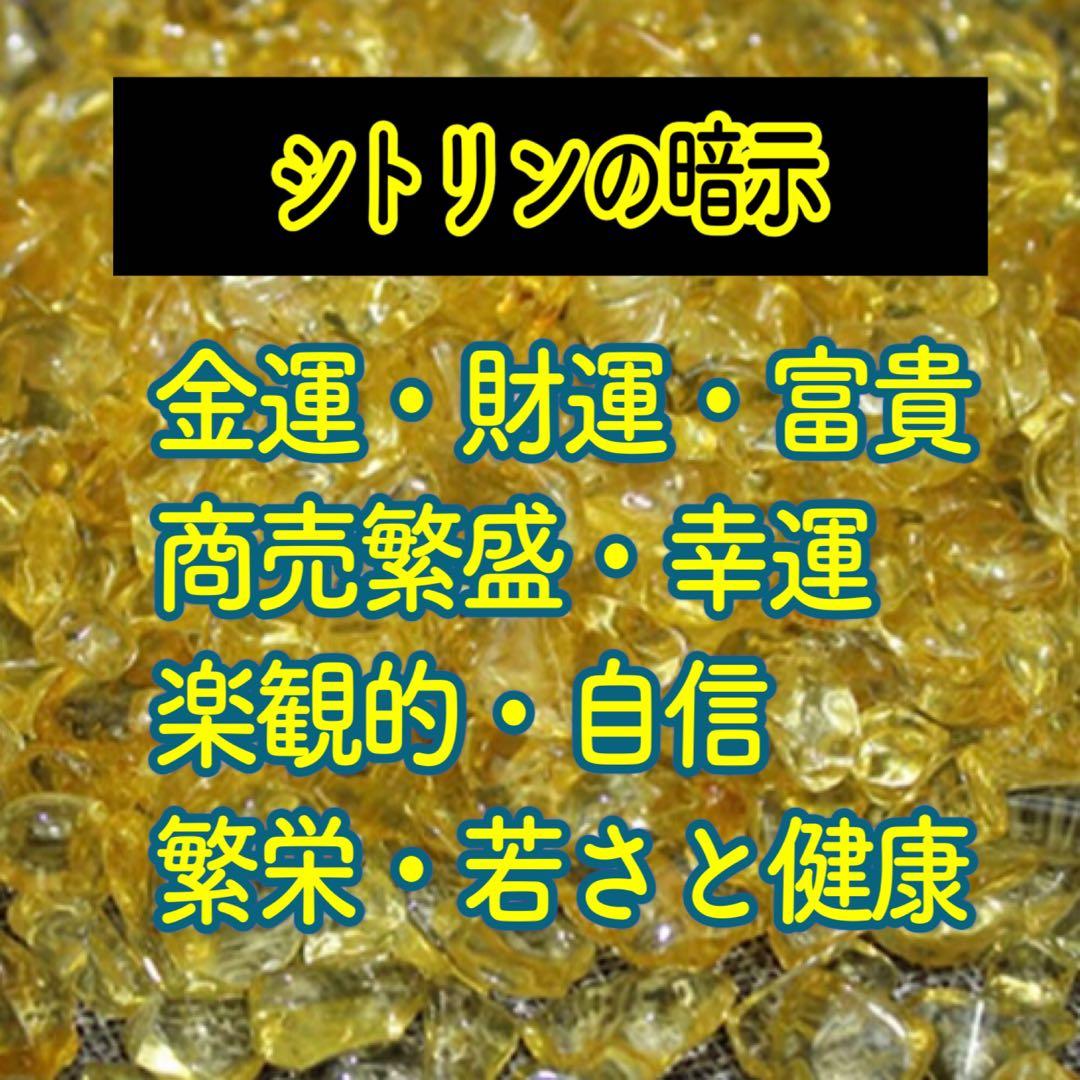 辰年／置物【特大サイズ】白蛇抜け殻入りプレミアム オルゴナイト＊昇り龍＊おまけ付