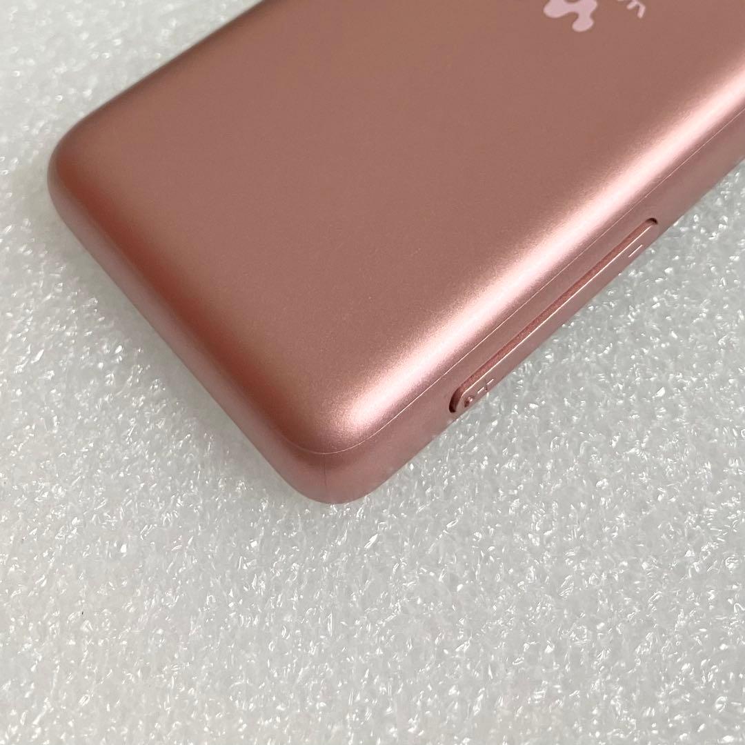 【超美品】SONY ウォークマン　NW-S313 4GB