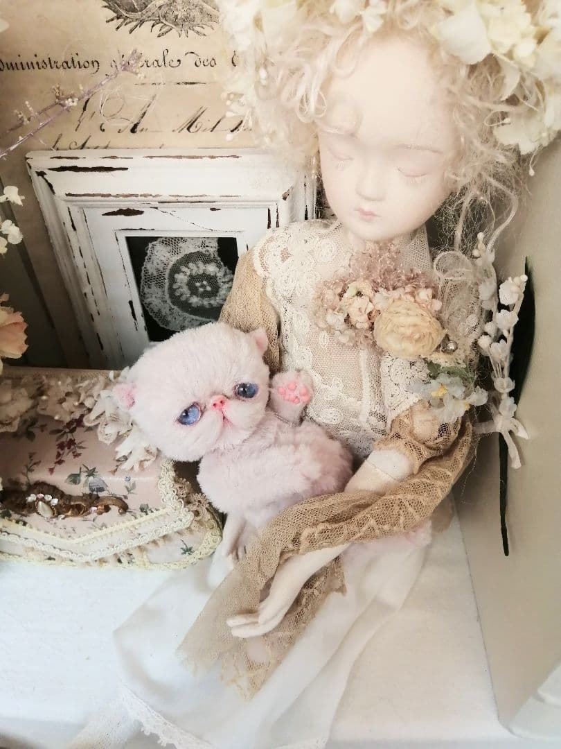 くろねこ様❤️オーダー❤️お腹ぽっこり♡エキゾチック子猫ちゃん♡アートドール♡