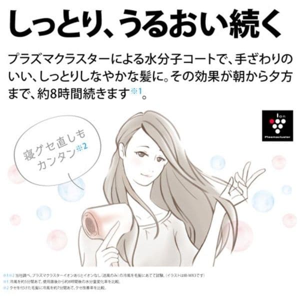 【新品未使用】SHARPプラズマクラスタードライヤー：IB-RP7-W