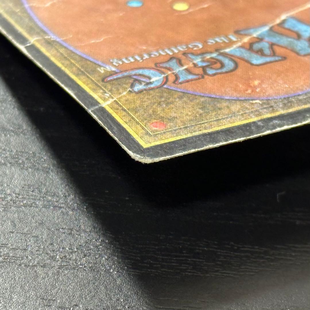 マジック：ザ・ギャザリング MTG Tropical  3ED English