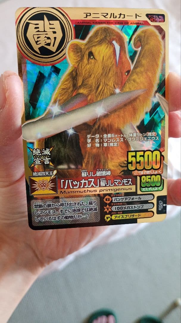 確認用レア！帰ってきたジーク＆ツキカゲなど究極レアまとめ売り