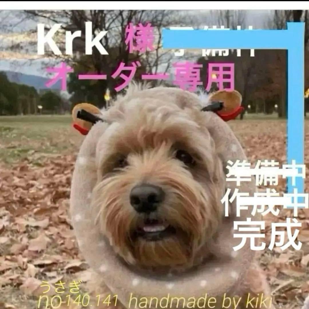 Krk様　うちの子オーダーあみぐるみ　羊毛フェルトうさぎ　No.140.141