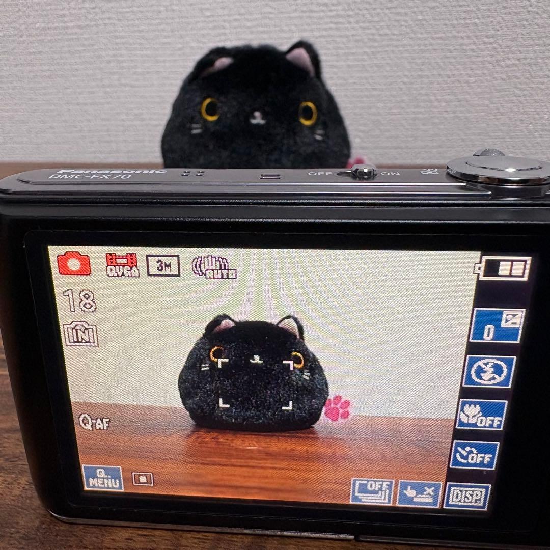 【美品✨】Panasonic LUMIX DMC-FX70 コンデジ　CCD