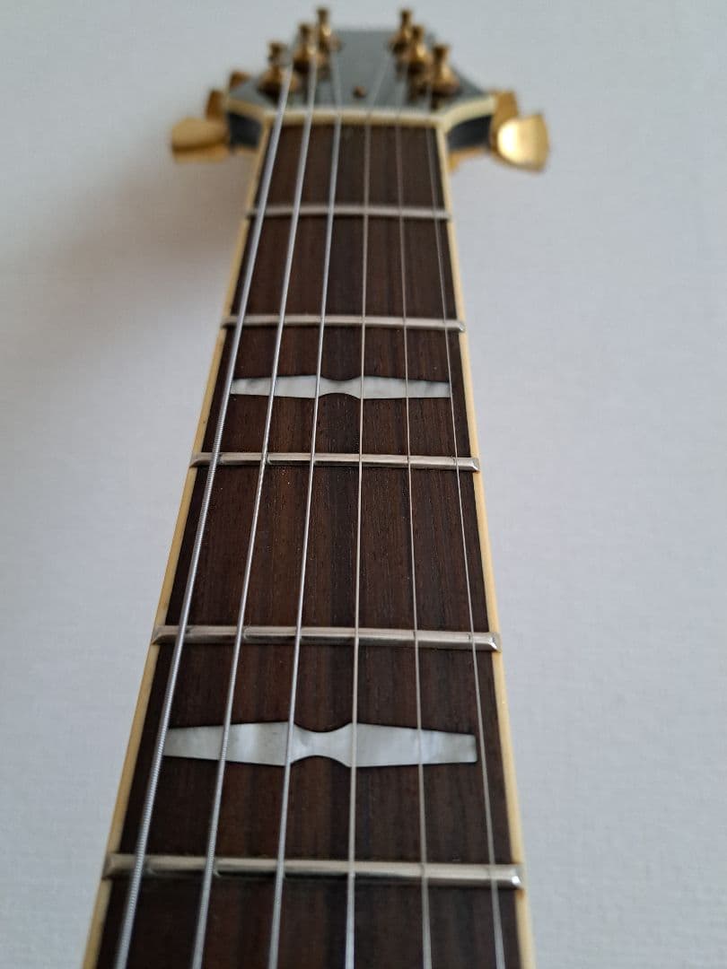 PEAVEY JF1EX セミアコ　美品　★お値下げのため本体のみに変更