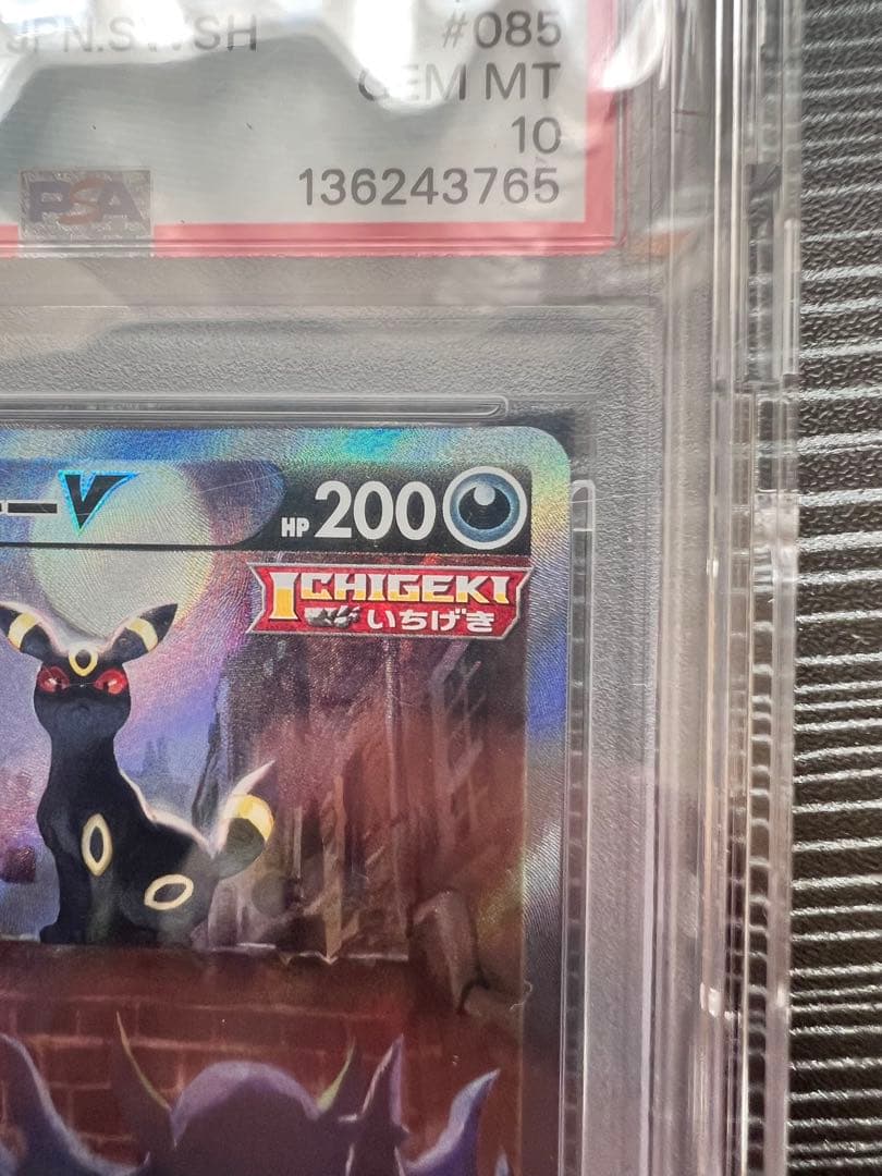 ブラッキーv SA PSA10 あんしん鑑定有