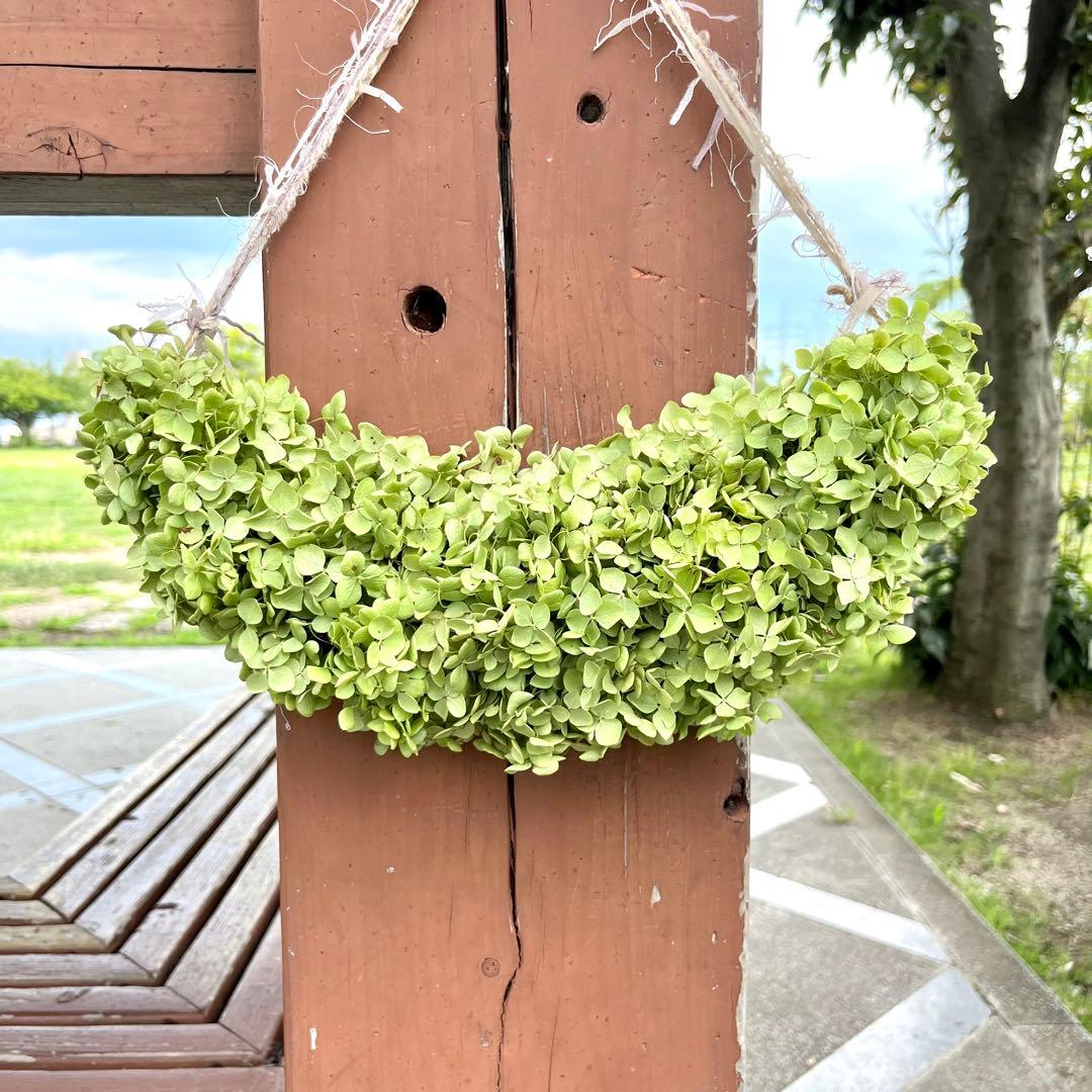 アナベル紫陽花　三日月リース