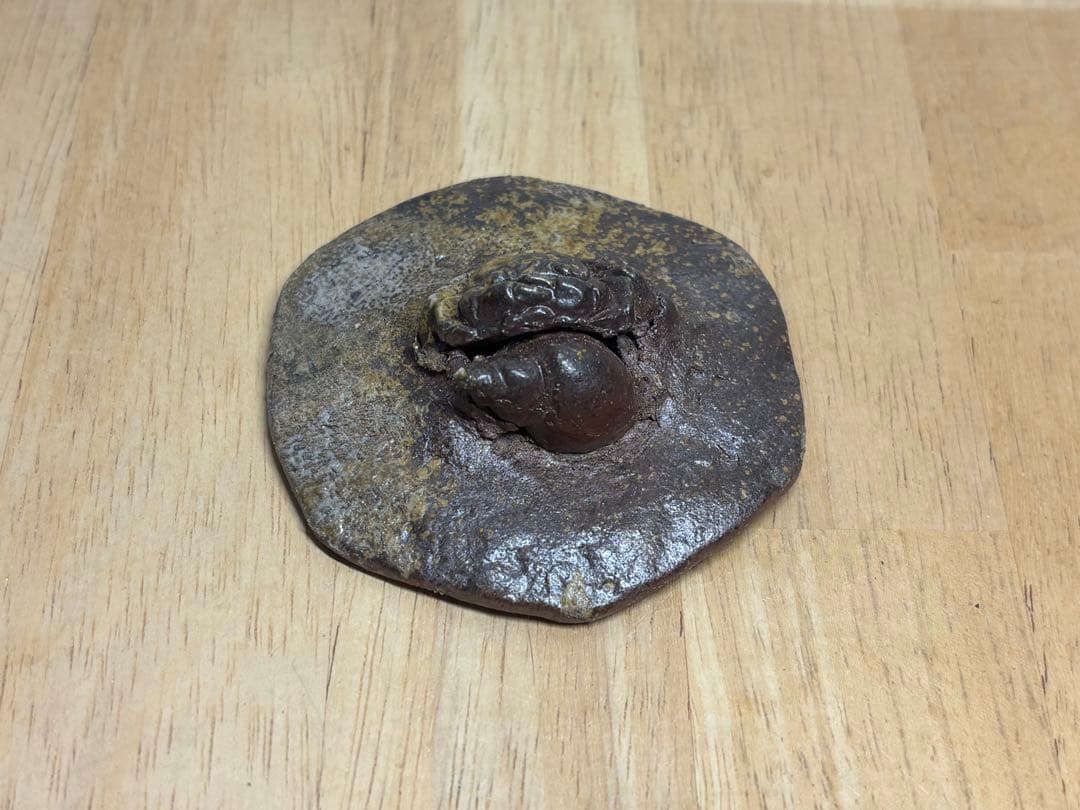 127. 備前焼 宝瓶 登り窯 カニとタニシ 貝6角 手びねり 急須