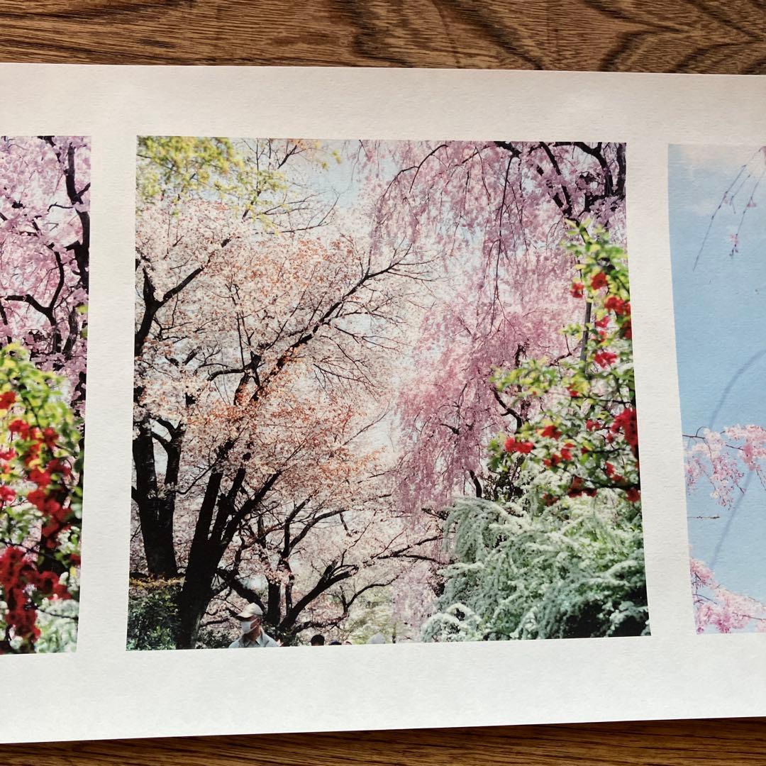 川内倫子　絵巻物写真集　やうやうしろく
