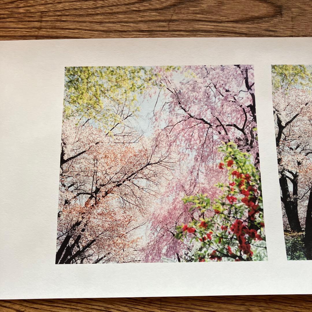 川内倫子　絵巻物写真集　やうやうしろく
