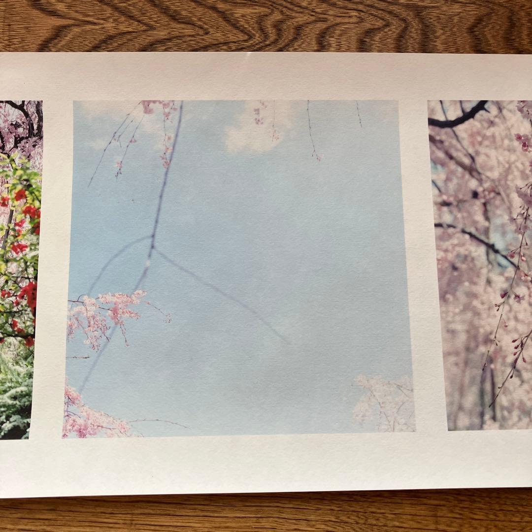 川内倫子　絵巻物写真集　やうやうしろく