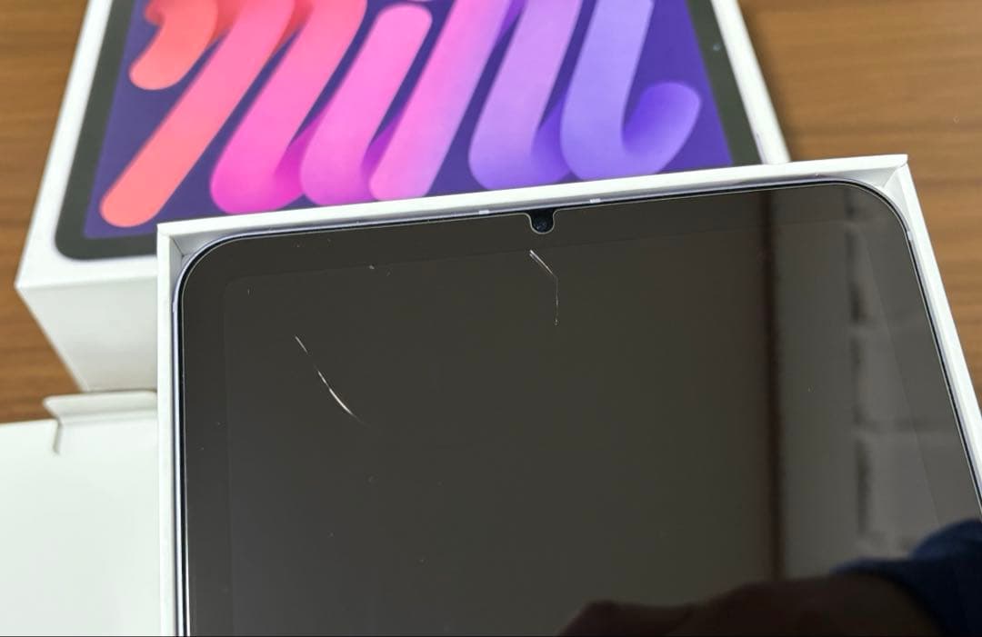 iPad本体 Apple iPad mini Wi-Fi+Cellular 256GB
