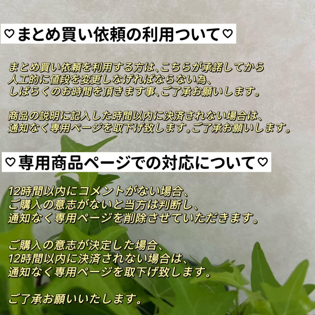 クロシバ様 リクエスト 2点 まとめ商品　バロックパールピアス　ペンダントトップ