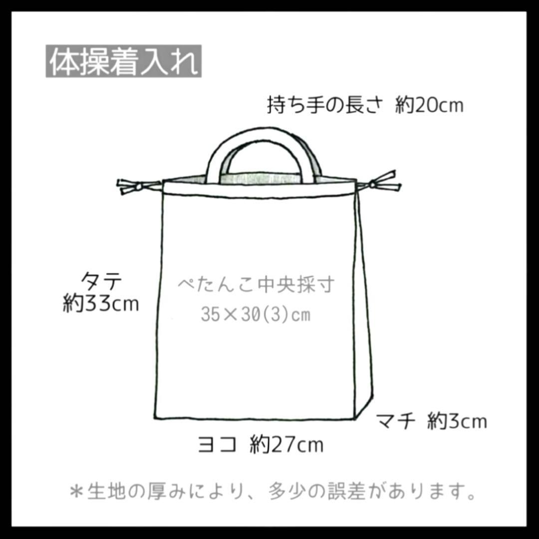 Hal レッスンバッグ 上履き入れ 体操服入れ巾着 男の子 入園 入学