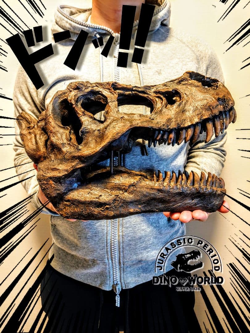 ✨お得なセット✨ ティラノサウルス トリケラトプス 化石 ジュラシックワールド