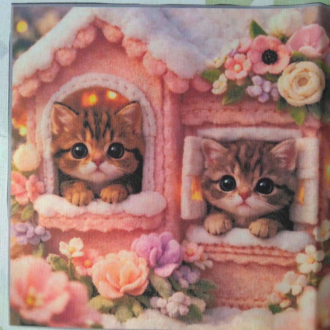 ☆受付☆猫