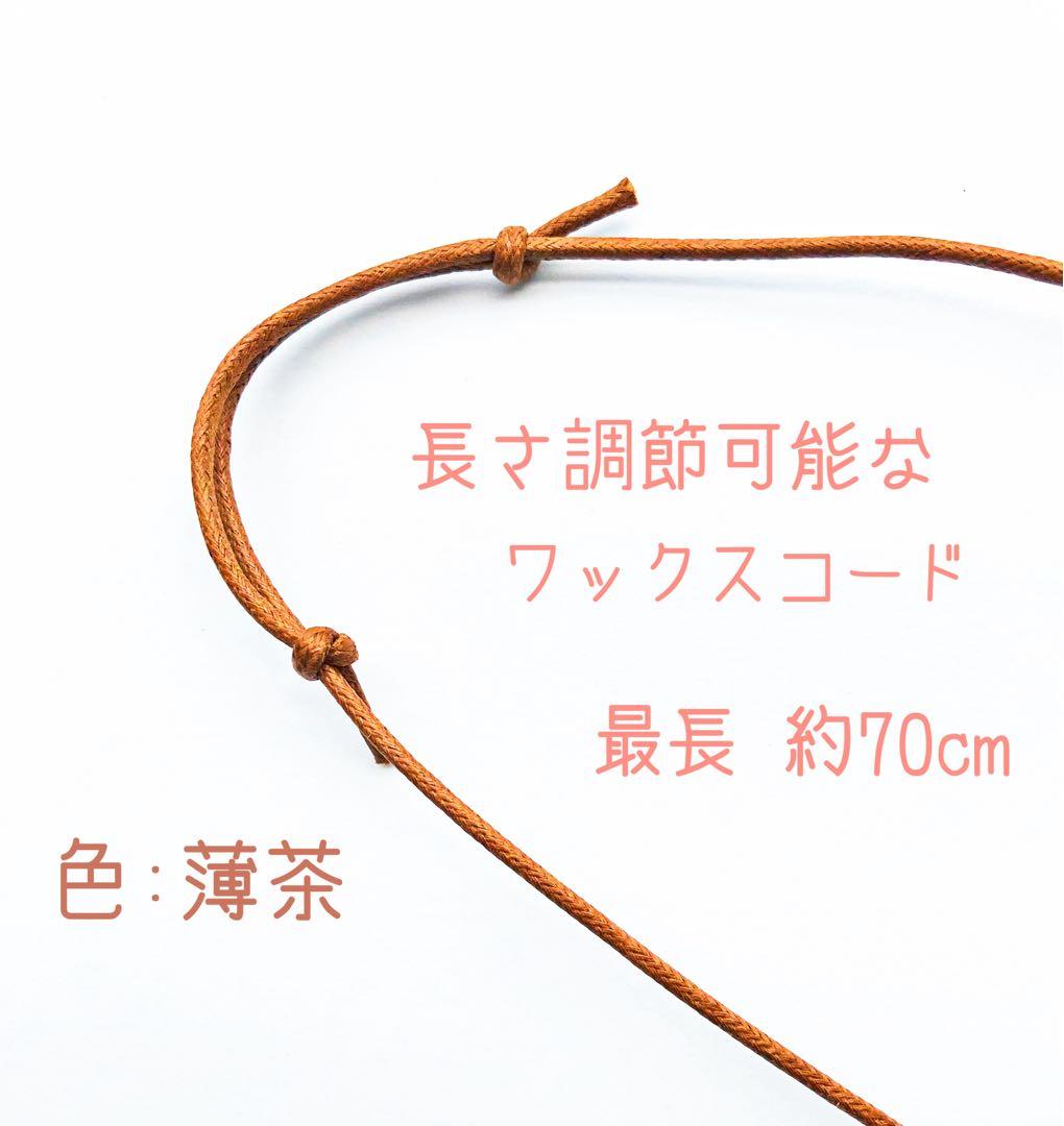 ペガサス 星座12点