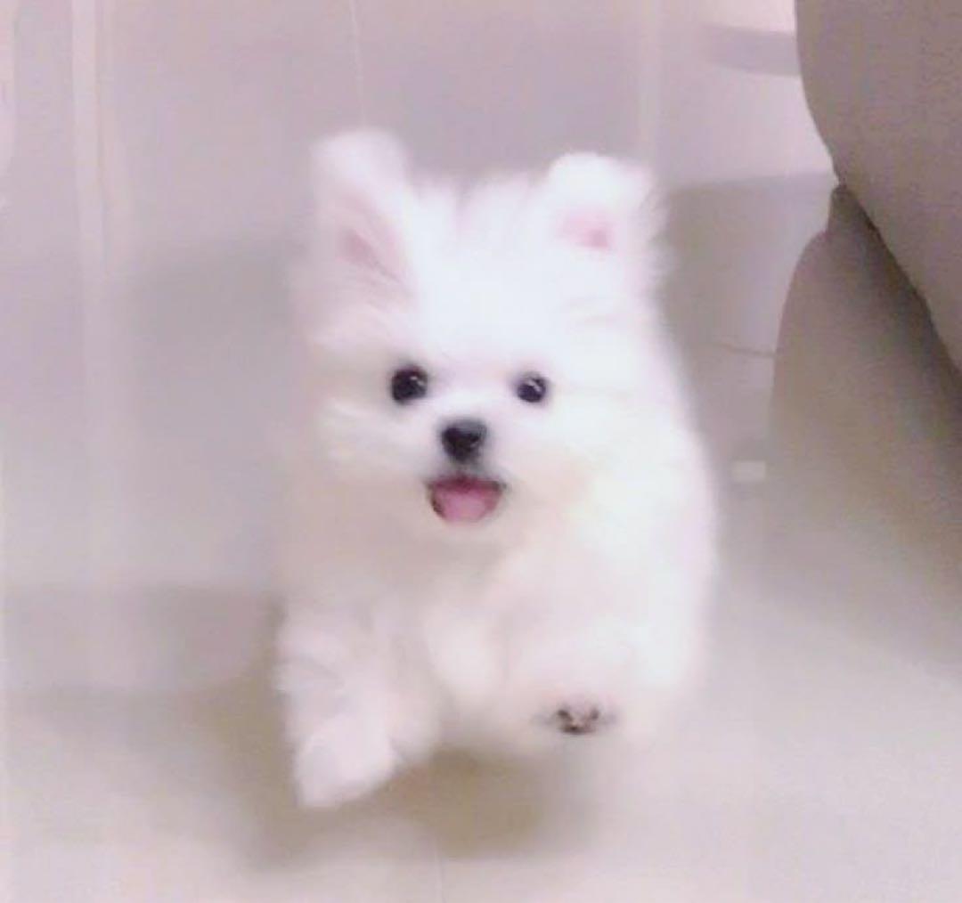 あ