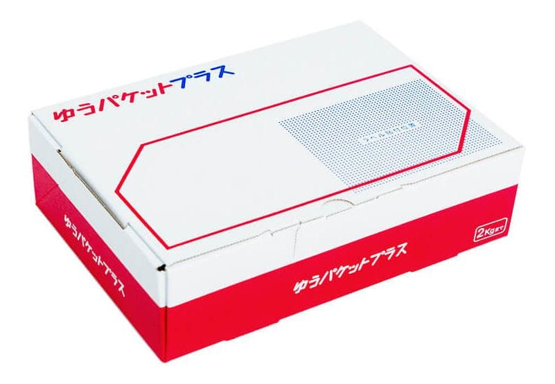 パジコ星の雫　レジン液　UV/LED硬化　500g　透明／ハード　全国送料無料