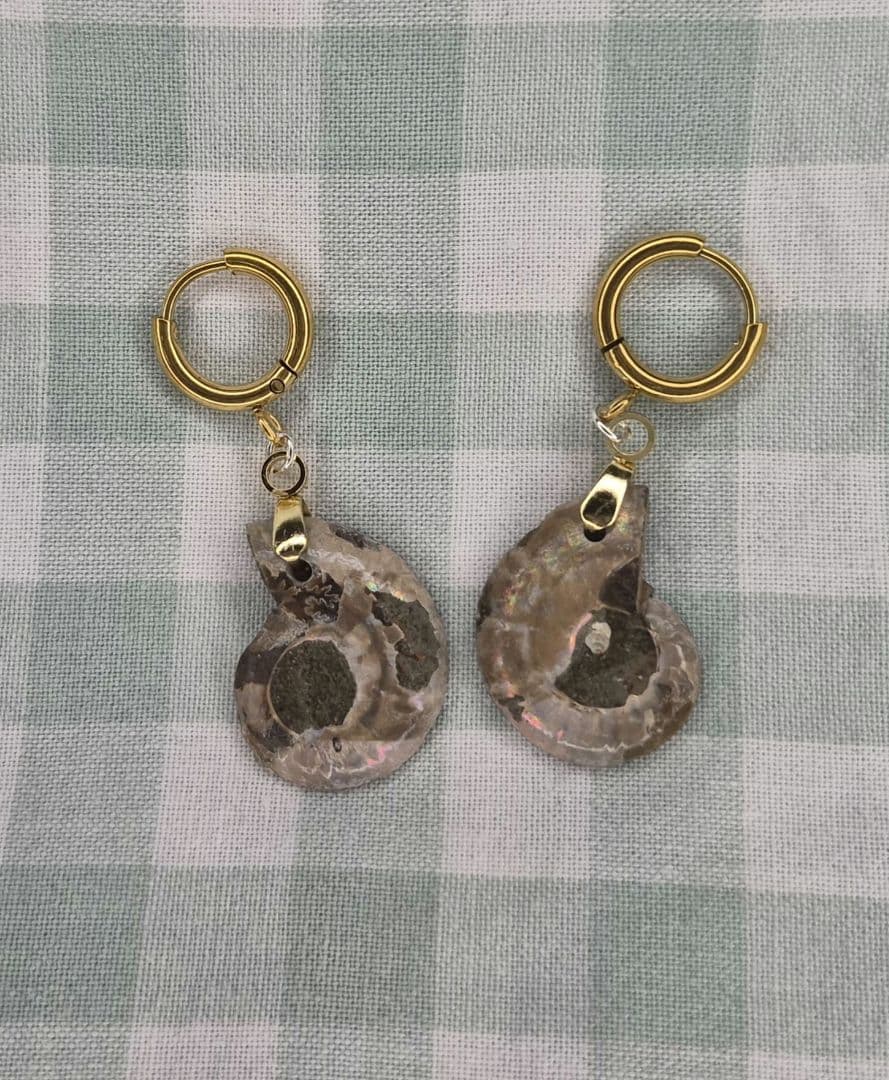 大人気商品　 マダガスカル産アンモナイトゴールドピアス