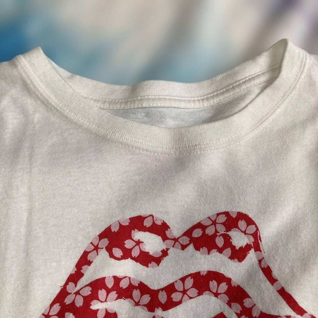 the stones 軽石　ヴィンテージTシャツ　ローリングストーンズ？