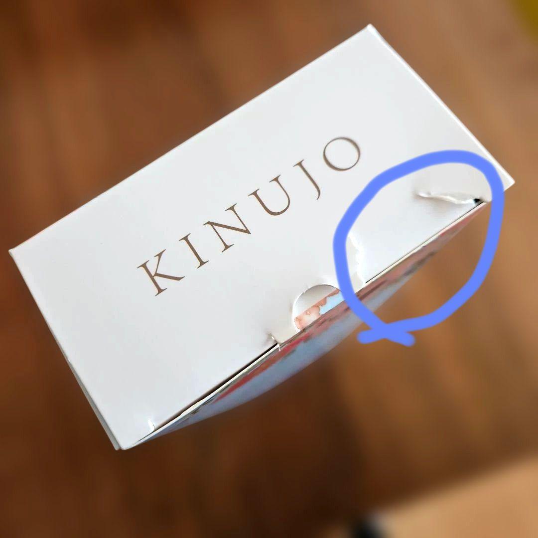 KINUJO W DS200 ストレートアイロン 24mm 海外対応
