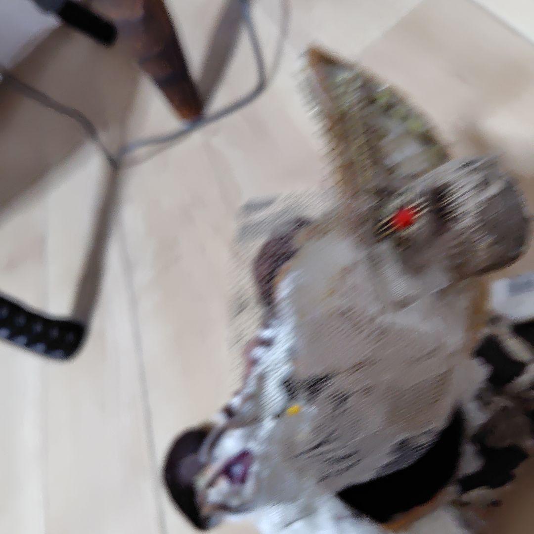 美品ヴィンテージレース猫の人形ペア 2体セット